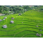 Tour Khám Phá Hoàng Su Phì (Chiêu Lầu Thi) - Xín Mần - 3 Ngày 2 Đêm