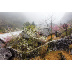 Ha Giang Classic & Ethnic Village Discovery – 4 Days 3 Nights