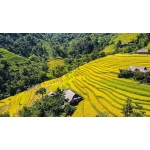 Tour Khám Phá Hoàng Su Phì - Xín Mần - 3 Ngày 2 Đêm