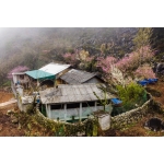Tour Trải Nghiệm Làng Bản Hà Giang - 3 Ngày 2 Đêm