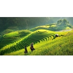 Hành Trình Xuyên Việt - 18 Ngày 17 Đêm