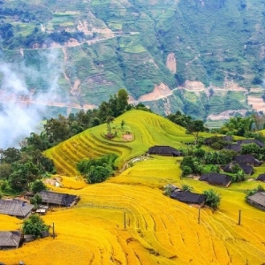 ha-giang-thang-9-co-gi-mua-du-lich-vang-cho-nguoi-moi-bat-dau