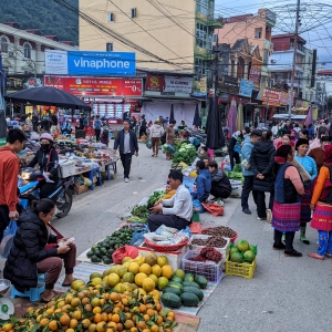 cho-phien-meo-vac-noi-toi-thay-minh-nho-lai-giua-ca-ban-sac-lon
