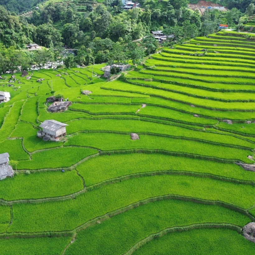 Tour Khám Phá Hoàng Su Phì (Chiêu Lầu Thi) - Xín Mần - 3 Ngày 2 Đêm