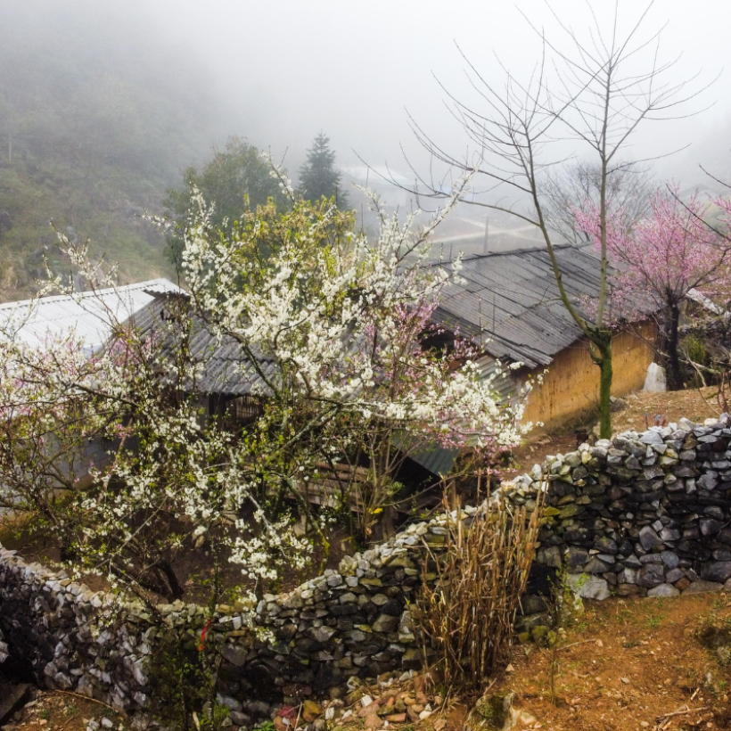 Ha Giang Classic & Ethnic Village Discovery – 4 Days 3 Nights