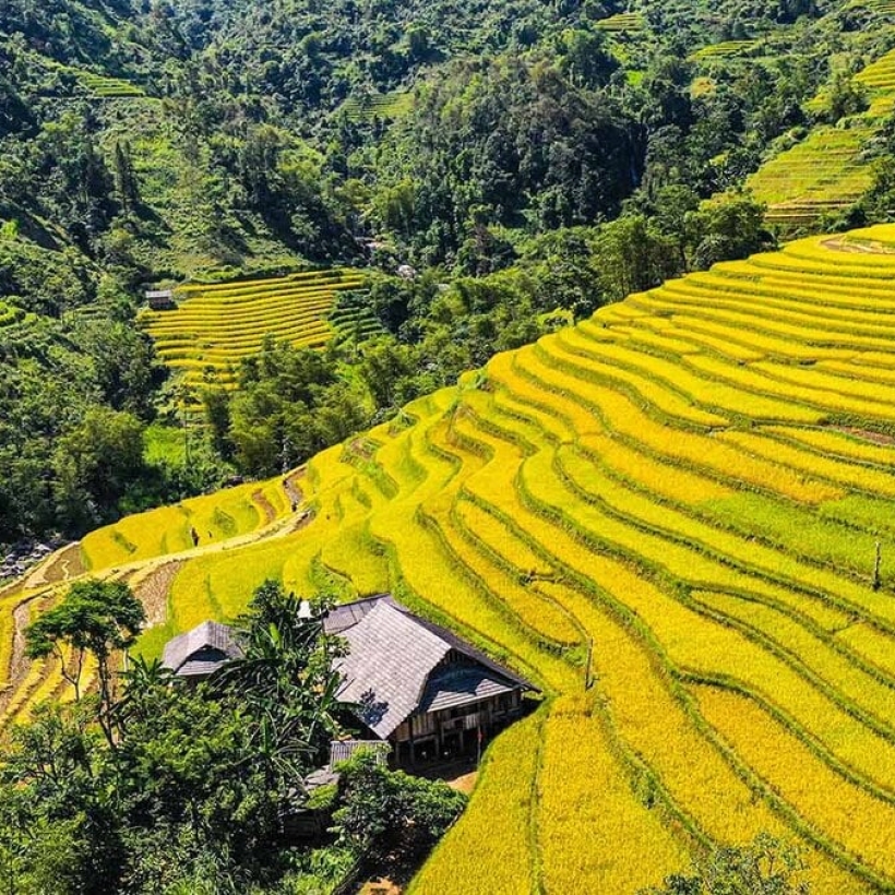 Tour Khám Phá Hoàng Su Phì - Xín Mần - 3 Ngày 2 Đêm