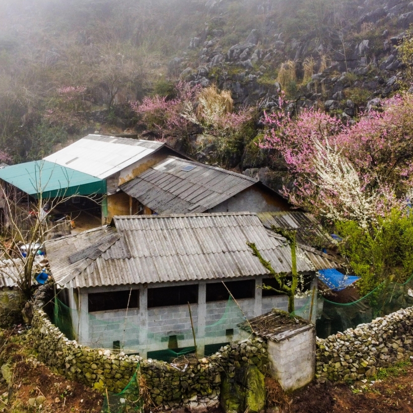 Tour Trải Nghiệm Làng Bản Hà Giang - 3 Ngày 2 Đêm