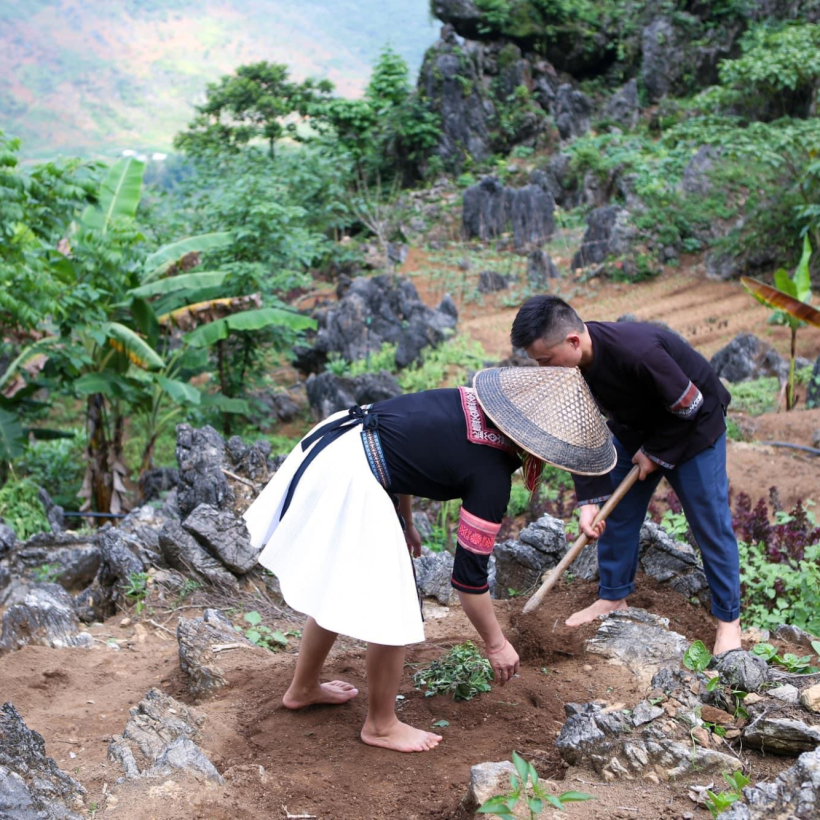 Ha Giang Scenic Escape Journey | 4 Days 3 Nights