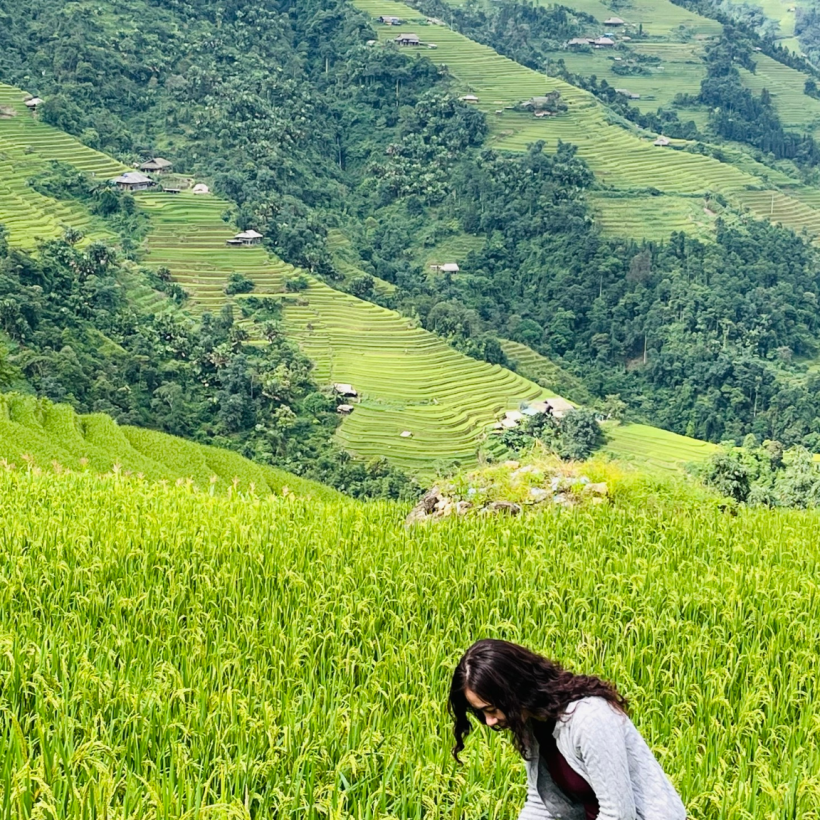 Tour Khám Phá Hoàng Su Phì – Chiêu Lầu Thi – Thảo Nguyên Suôi Thầu – Bắc Hà - 4 Ngày 3 Đêm