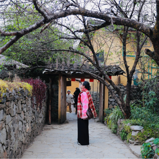 Lo Lo Chai Village – A Quiet Village Beneath Lung Cu Flag Tower